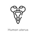 outline human uterus vector icon. isolated black simple line element illustration from human body parts concept. editable vector Royalty Free Stock Photo