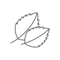 Outline icon - Basil leaf