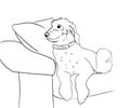 Outline ink drawing dog sitting on a sofa. Cute doggie lies on a sofa. Royalty Free Stock Photo