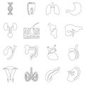 Internal organs icons set, outline style Royalty Free Stock Photo