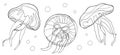 Outline jellyfish set. Hand drawn black and white vector illustration. Medusa with bubbles contours for coloring book, print,