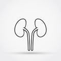 Outline kidneys vector icon.