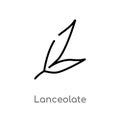 outline lanceolate vector icon. isolated black simple line element illustration from nature concept. editable vector stroke
