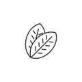 Outline leaf icon illustration isolated vector sign symbol