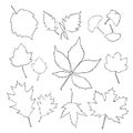 Outline leaves set isolated on white background vector