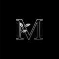 Outline Letter M Nature Tropical Leaf Initial logo Icon. Silver classy color logo icon