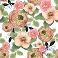 Outline line art Flower blossom botanical poinsettia, rose, chrysanthemum, camellia blooming digital clipart watercolor aquarelle