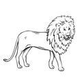 Outline lion icon