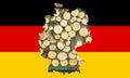 Outline map of Germany with the image of the national flag. Background of firewood inside the map. Collage illustration. Energy