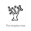 outline the maples tree vector icon. isolated black simple line element illustration from nature concept. editable vector stroke Royalty Free Stock Photo