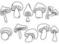 Outline mushrooms set, contour cap mushroom of various shapes and sizes
