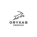 Outline oryx line art logo vector icon template illustration Royalty Free Stock Photo