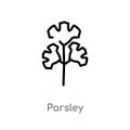 outline parsley vector icon. isolated black simple line element illustration from fruits concept. editable vector stroke parsley Royalty Free Stock Photo