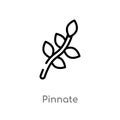 outline pinnate vector icon. isolated black simple line element illustration from nature concept. editable vector stroke pinnate Royalty Free Stock Photo