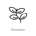 outline pinnation vector icon. isolated black simple line element illustration from nature concept. editable vector stroke Royalty Free Stock Photo