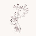 Outline portrait of male red deer, hart or stag. Head of graceful wild animal with antlers hand drawn on light