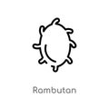 outline rambutan vector icon. isolated black simple line element illustration from fruits concept. editable vector stroke rambutan