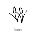 outline reeds vector icon. isolated black simple line element illustration from nature concept. editable vector stroke reeds icon Royalty Free Stock Photo