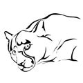 Outline sad jaguar or puma vector