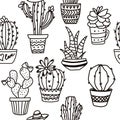 Outline seamless cactus pattern. Plant fabric print. Contour succulent drawing. Nature textile background. Mexican decor