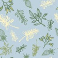 Outline seamless hand drawn pattern with green and yellow contoured branches and leaves. Blue soft background Royalty Free Stock Photo