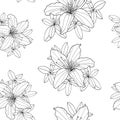 Outline seamless pattern with Rhododendron flower and leaves. Botanical hand drawn black and white vector contour illustration for