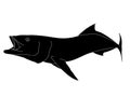 An outline silhouette design Cobia Fish in action