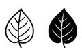 Icon, betel leaf illustration, outline and silhouette versions Royalty Free Stock Photo