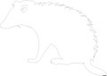 opossum Outline Silhouette Generative Ai