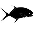 Outline Silhouette Of A Permit Fish Royalty Free Stock Photo
