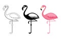 Outline and silhouettes flamingo vector isolated on white background