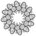 Outline sketch of raspberries arranged in a circle