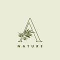 Outline Tropical Nature Letter B Logo icon, vector design concept abstract nature leaf Royalty Free Stock Photo