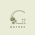 Outline Tropical Nature Letter G Logo icon, vector design concept abstract nature leaf Royalty Free Stock Photo