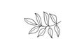 Outline Twig with Leaves. Simple linear Foliage silhouette. Hand Drawn Plant line Art. Floral natural Illustration.