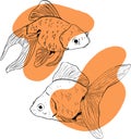 outline of two goldfish illustration