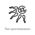 outline two spermatozoon vector icon. isolated black simple line element illustration from human body parts concept. editable