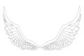 Outline of unfolded angel wings from black lines isolated on white background. Vector illustration Royalty Free Stock Photo
