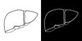 Outline vector drawing of a human liver. Illustration with simple lines in two versions