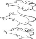 Contour vector drawings of doodles funny cartoon rats