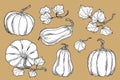 Outline vector pumpkins with leaves collection. Hand drawn black contour with white fill gourds isolated on brown