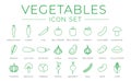 Outline Vegetables Icon Set of Parsey Root, Carrot, Chilli, Paprika, Pepper, Tomato, Cucumber, Mushroom, Spinach, Zucchini,