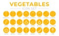 Outline Vegetables Round Yellow Icon Set of Parsey Root, Carrot, Chilli, Paprika, Pepper, Tomato, Cucumber, Mushroom, Spinach,