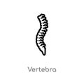 outline vertebra vector icon. isolated black simple line element illustration from medical concept. editable vector stroke Royalty Free Stock Photo