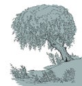 Vector drawing. Tree at the lake Royalty Free Stock Photo