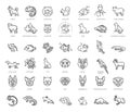 Outline web icon set - pet, pet shop Royalty Free Stock Photo