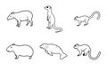 Outline Wildlife Animals Set Royalty Free Stock Photo
