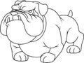 Outlined Angry Bulldog Cartoon Mascot Character