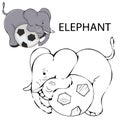 Outlined baby elephant. Vector line art illustration coloring page