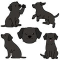 Outlined black Labrador illustrations set